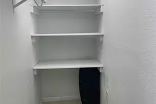 433 S Paula Dr, Dunedin, FL 34698 - Photo 39