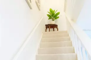 433 S Paula Dr, Dunedin, FL 34698 - Photo 21