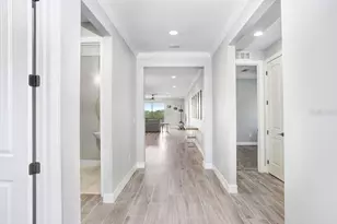 11677 Brighton Knoll Loop, Riverview, FL 33579 - Photo 3