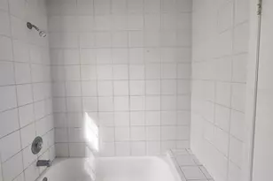 10121 Sea spray Pl, Tampa, FL 33624 - Photo 29