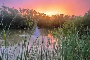 14399 Tamarac Dr, Bokeelia, FL 33922 - Photo 35