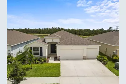 33700 Hamilton Hill Lane, Wesley Chapel, FL 33545 - Photo 65