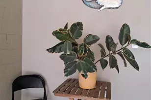 4530 19th St Cir W, Bradenton, FL 34207 - Photo 21