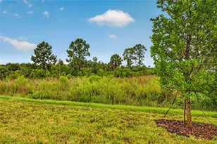 11187 Livewell Ct, Venice, FL 34293 - Photo 29