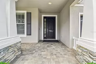 21717 Billowy Jaunt Dr, Land O Lakes, FL 34637 - Photo 7