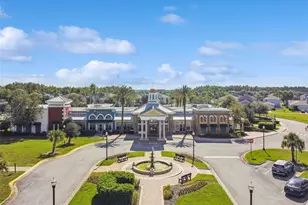 21717 Billowy Jaunt Dr, Land O Lakes, FL 34637 - Photo 69