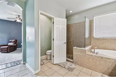 21717 Billowy Jaunt Drive, Land O Lakes, FL 34637 - Photo 39