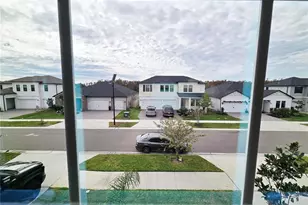 22083 Nebula Wy, Land O Lakes, FL 34637 - Photo 21