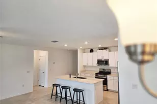 22083 Nebula Wy, Land O Lakes, FL 34637 - Photo 11