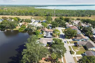 648 Timber Bay Cir E, Oldsmar, FL 34677 - Photo 67