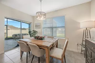 33913 Jasper Stone Dr, Wesley Chapel, FL 33543 - Photo 27