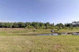 8341 Wildflower Glen Ave, Odessa, FL 33556 - Photo 49