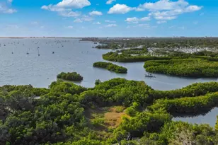 3357 38th St, Saint Petersburg, FL 33711 - Photo 43