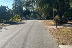 4224 E Bird St, Tampa, FL 33617 - Photo 23