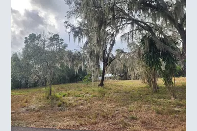 1409 Wilkinson Drive, Plant City, FL 33566 - Photo 1