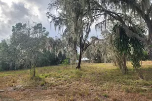 1409 Wilkinson Dr, Plant City, FL 33566 - Photo 1