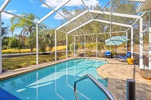 332 McIntosh Ct, Spring Hill, FL 34609 - Photo 53