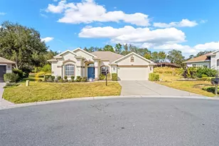 332 McIntosh Ct, Spring Hill, FL 34609 - Photo 41