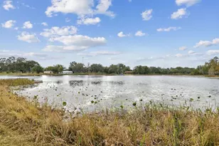 18208 State Rd 52, Land O Lakes, FL 34638 - Photo 45