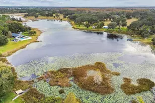 18208 State Rd 52, Land O Lakes, FL 34638 - Photo 53