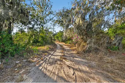 9602 Taylor Road, Seffner, FL 33584 - Photo 7