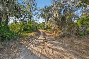 9602 Taylor Rd, Seffner, FL 33584 - Photo 7