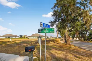 9602 Taylor Rd, Seffner, FL 33584 - Photo 9