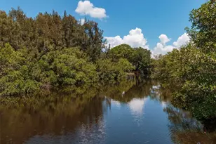 842 Amelia Ct NE, Saint Petersburg, FL 33702 - Photo 43