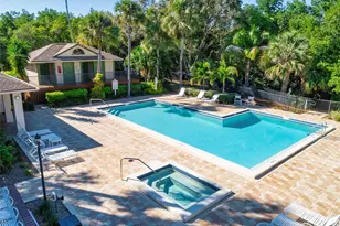 842 Amelia Ct NE, Saint Petersburg, FL 33702 - Photo 43