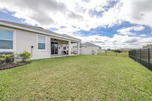 3847 Sunny Spring Street, Plant City, FL 33565 - Photo 53