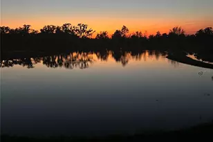 3847 Sunny Spring Street, Plant City, FL 33565 - Photo 55