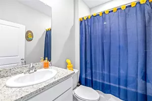 3847 Sunny Spring Street, Plant City, FL 33565 - Photo 45