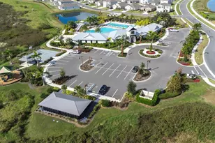 3847 Sunny Spring Street, Plant City, FL 33565 - Photo 61