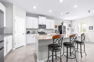 3847 Sunny Spring Street, Plant City, FL 33565 - Photo 23