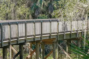 13534 Circa Crossing Dr, Lithia, FL 33547 - Photo 71