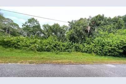 9461 W Norfolk Street, Tampa, FL 33615 - Photo 3