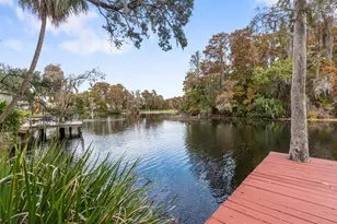 617 S Riverhills Dr, Temple Terrace, FL 33617 - Photo 51