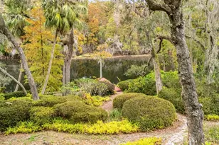 617 S Riverhills Dr, Temple Terrace, FL 33617 - Photo 47