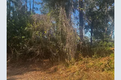 11-20 Anno, Tampa, FL 33625 - Photo 5