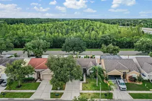 4208 Pine Isle Dr, Lutz, FL 33558 - Photo 35