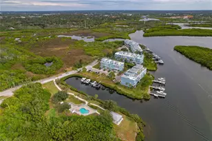 1197 Flying Fish Ln, Tarpon Springs, FL 34689 - Photo 65