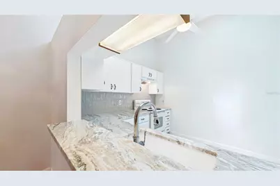 1539 Rebecca Lane, Dunedin, FL 34698 - Photo 23