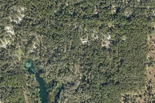 Lot 6 SW 186th Circle, Dunnellon, FL 34432 - Photo 1