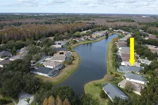 19519 Morden Blush Dr, Lutz, FL 33558 - Photo 59