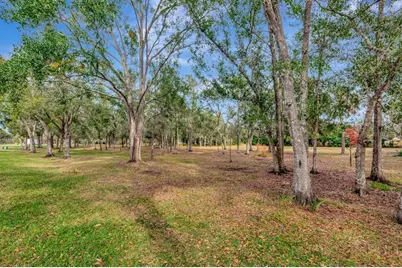 19519 Morden Blush Drive, Lutz, FL 33558 - Photo 55