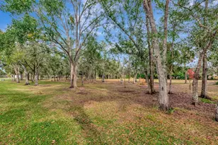 19519 Morden Blush Dr, Lutz, FL 33558 - Photo 55