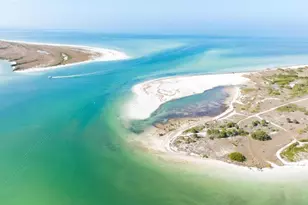 507 Canal Way, Oldsmar, FL 34677 - Photo 45