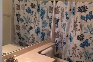 18130 Cypress Bay Pkwy, Land O Lakes, FL 34638 - Photo 7