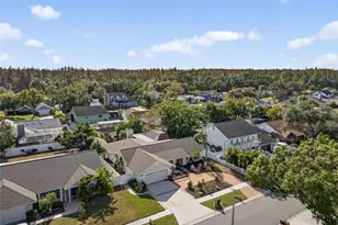 1609 Shady Leaf Dr, Valrico, FL 33596 - Photo 47