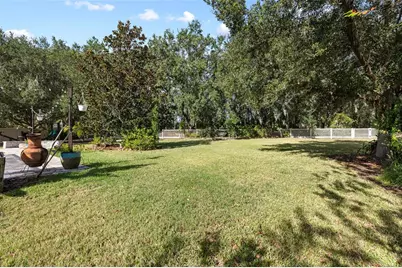 17425 New Cross Circle, Lithia, FL 33547 - Photo 45